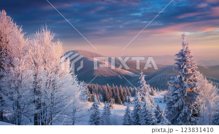 A snowy mountain range with trees covered in snow 123831410