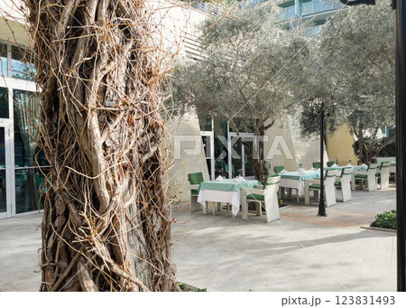 Cafe tables and chairs outside in Antalya Turkey hotel resort Cafe tables and chairs outside in Antalya Turkey hotel resort 123831493