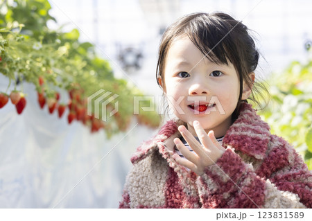 イチゴ狩りを楽しむ女の子 123831589