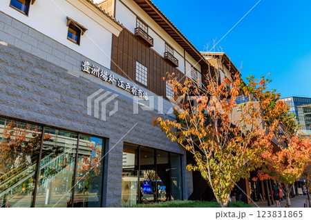 東京　江東区　豊洲市場場外にオープンした 豊洲 千客万来 123831865