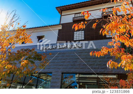 東京　江東区　豊洲市場場外にオープンした 豊洲 千客万来 123831866