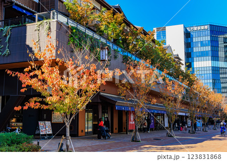 東京　江東区　豊洲市場場外にオープンした 豊洲 千客万来 123831868