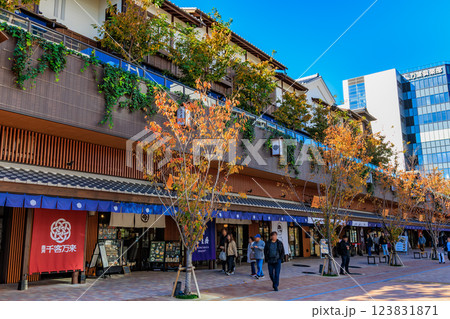 東京　江東区　豊洲市場場外にオープンした 豊洲 千客万来 123831871