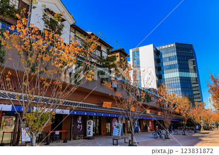 東京　江東区　豊洲市場場外にオープンした 豊洲 千客万来 123831872