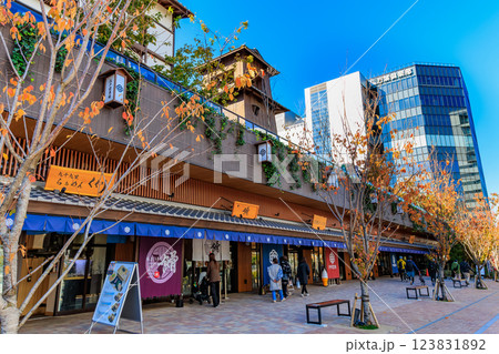 東京　江東区　豊洲市場場外にオープンした 豊洲 千客万来 123831892