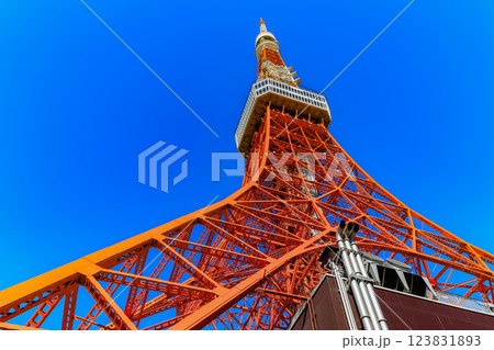 東京　港区　東京のシンボル 東京タワー 123831893