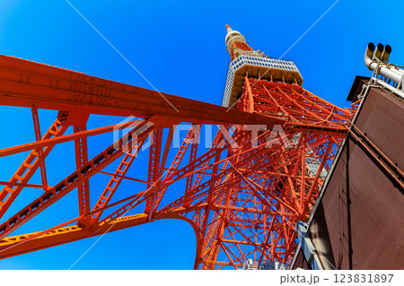東京　港区　東京のシンボル 東京タワー 123831897