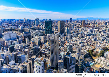 東京　港区　東京のシンボル 東京タワー大展望台からの眺め 123831915