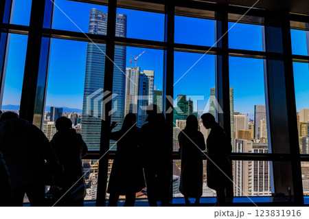 東京　港区　東京のシンボル 東京タワー大展望台 123831916