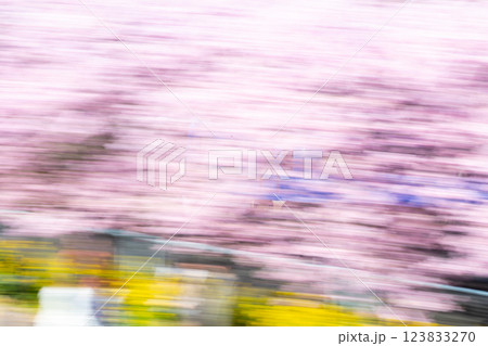 【河津桜】桜並木を疾走する京急電車 【河津桜】桜並木を疾走する京急電車 123833270