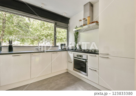 Stylish kitchen design featuring sleek white cabinetry, modern appliances, and large windows bringing in abundant natural light. Stylish kitchen design featuring sleek white cabinetry, modern appliances, and large windows bringing in abundant natural light. 123833380