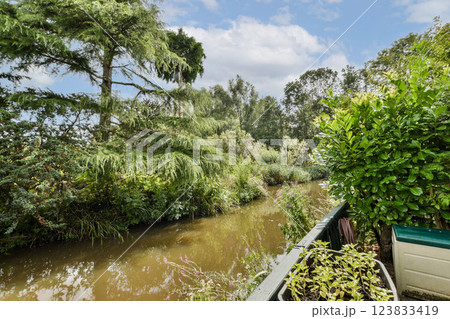 A serene river flows gently alongside vibrant green trees and plants, creating a peaceful natural environment perfect for relaxation. A serene river flows gently alongside vibrant green trees and plants, creating a peaceful natural environment perfect for relaxation. 123833419