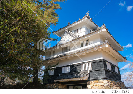 愛知県豊橋市 豊橋公園、吉田城 鉄櫓 愛知県豊橋市 豊橋公園、吉田城 鉄櫓 123833587