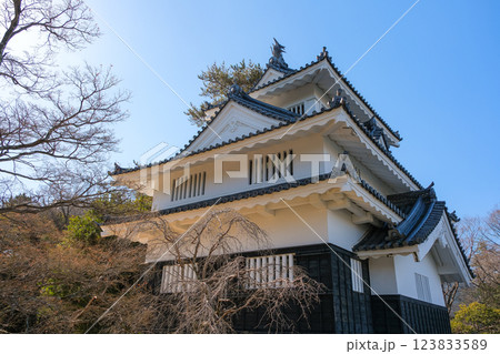 愛知県豊橋市 豊橋公園、吉田城 鉄櫓 123833589