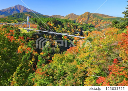 【大分県】快晴の九重夢大吊橋と紅葉 【大分県】快晴の九重夢大吊橋と紅葉 123833725