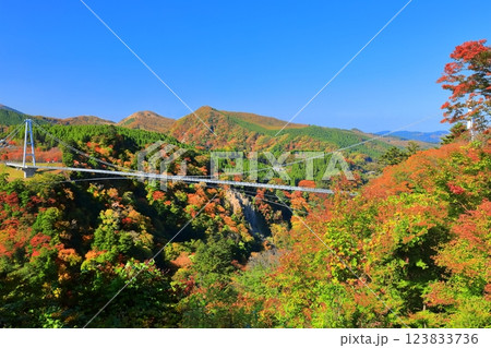 【大分県】快晴の九重夢大吊橋と紅葉 123833736