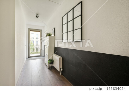 A sleek and stylish hallway featuring a mix of light and dark walls, a cabinet, and a large mirror. Ideal for showcasing modern minimalistic decor. A sleek and stylish hallway featuring a mix of light and dark walls, a cabinet, and a large mirror. Ideal for showcasing modern minimalistic decor. 123834024