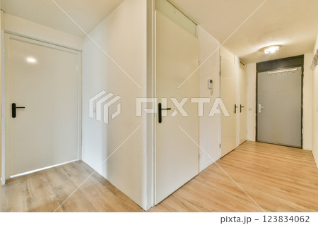 A spacious and well-lit interior hallway featuring clean lines, contemporary doors, and wooden flooring, providing a welcoming and stylish entryway. 123834062