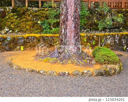 3月の天河大辨財天社（天河神社）　奈良県天川村 123834201