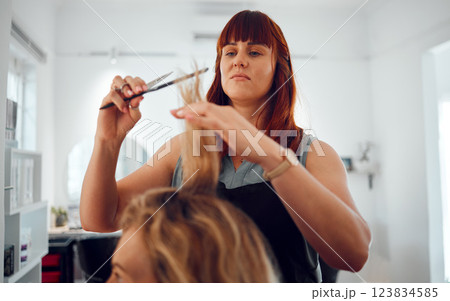 Hairdresser, salon and haircut, woman and hair, comb and scissors for beauty and hair care service. Beautician, entrepreneur and small business, hairstyle and stylist with client for grooming. Hairdresser, salon and haircut, woman and hair, comb and scissors for beauty and hair care service. Beautician, entrepreneur and small business, hairstyle and stylist with client for grooming. 123834585