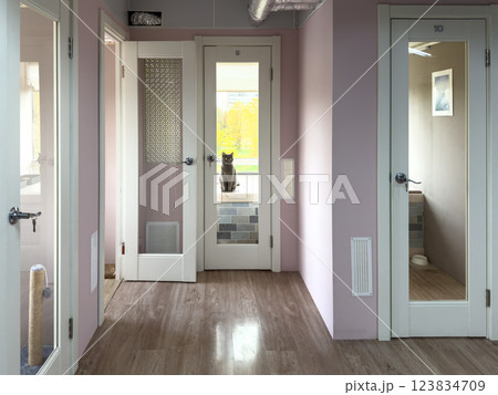 Pet hotel lobby with rooms, cat sitting inside. Glass doors display food, toilet, boarding 123834709
