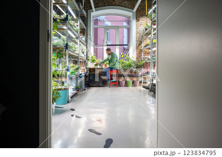 Welcome to plant shop. Florist man waits for store opening, transplanting mint plants by window 123834795