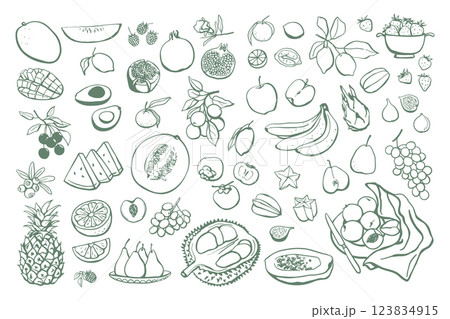 Hand drawn different fruits set Hand drawn different fruits set 123834915