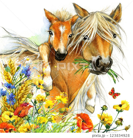 watercolor mare and foal on white. Beautiful hand painted illustration of two horses on the field. 123834928
