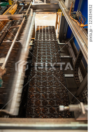 Pots receive even soil mixture in automatic pallet fill process in laboratory. Low labor setup Pots receive even soil mixture in automatic pallet fill process in laboratory. Low labor setup 123834932