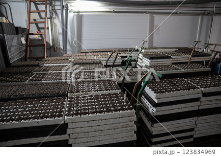 Pallets with soil prepared for transfer to controlled climate chamber for best moisture conditions 123834969