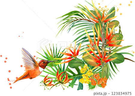 Hummingbird 123834975