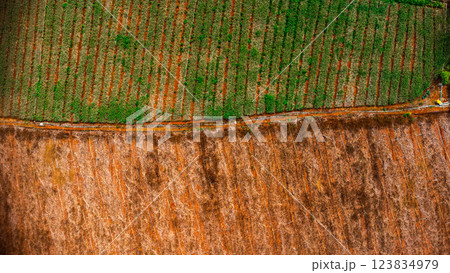 Aerial view of the agricultural area on the mountain. Farmers are cultivating vegetables in the agricultural area in the rural area. Aerial view of the agricultural area on the mountain. Farmers are cultivating vegetables in the agricultural area in the rural area. 123834979