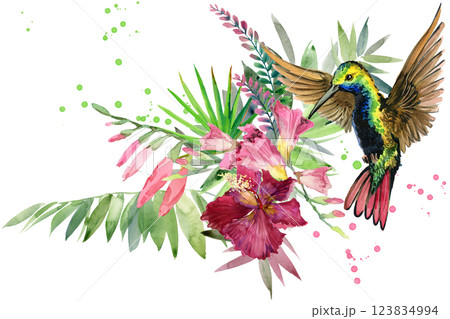 Hummingbird 123834994