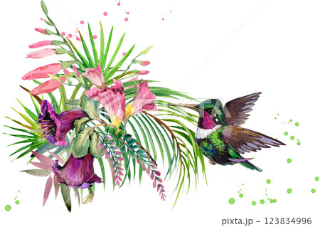 Hummingbird 123834996