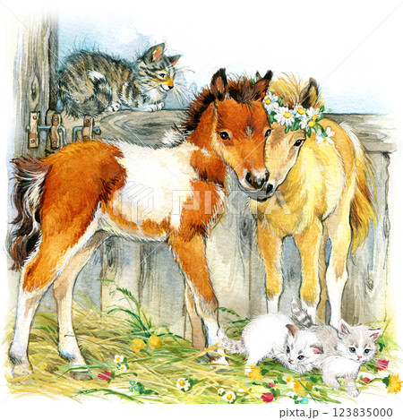 Horse foal. Hand drawn style print. Watercolor illustration with horse isolated on white.  123835000