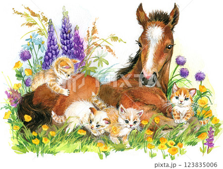 Horse foal. Hand drawn style print. Watercolor illustration with horse isolated on white.  123835006