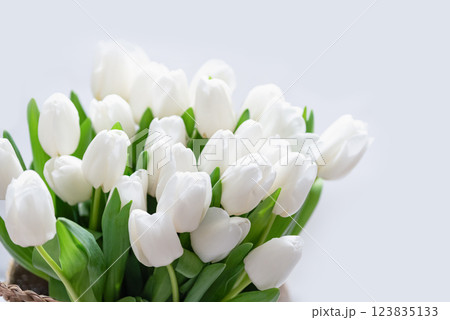 Mothers day, Valentines Day, Birthday celebration concept. Greeting card. Beautiful Bouquet of white delicate tulips. Copy space. Spring background. March 8, International Womens Day Mothers day, Valentines Day, Birthday celebration concept. Greeting card. Beautiful Bouquet of white delicate tulips. Copy space. Spring background. March 8, International Womens Day 123835133