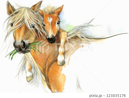 watercolor mare and foal on white. Beautiful hand painted illustration of two horses on the field. 123835176