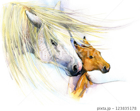watercolor mare and foal on white. Beautiful hand painted illustration of two horses on the field. 123835178