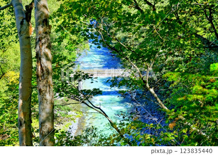 士幌線第五音更川橋梁跡 士幌線第五音更川橋梁跡 123835440