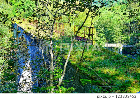 士幌線第五音更川橋梁跡 士幌線第五音更川橋梁跡 123835452