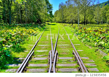 旧国鉄士幌線幌加駅跡の風景 123835456