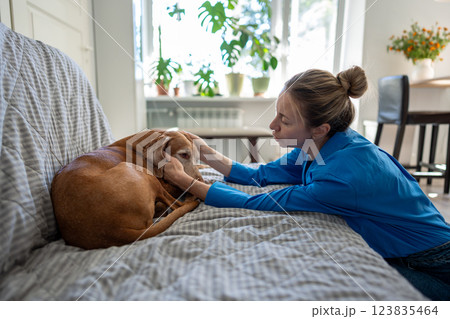 Caring attentive woman dog owner petting sad pet vizsla lying on couch, tender communicating at home Caring attentive woman dog owner petting sad pet vizsla lying on couch, tender communicating at home 123835464