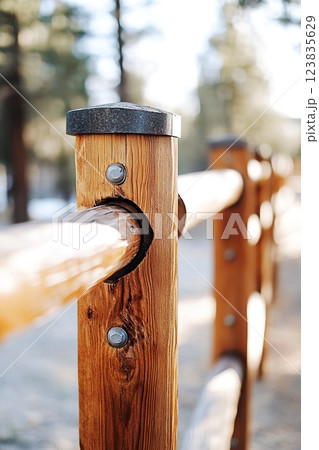 Close up view of wooden fence posts being installed in a natural environment 123835629