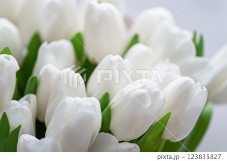 Mothers day, Valentines Day, Birthday celebration concept. Greeting card. Beautiful Bouquet of white delicate tulips. Copy space. Spring background. March 8, International Womens Day 123835827