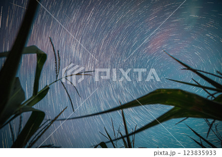 Star Trails . Night Starry Sky Glowing Milky Way Stars And Meteoric Track Trails Above Maize Corn Field In Summer Agricultural Season Cornfield. Spin Of Stars In Sky. Rotate Sky Background. Spin 123835933