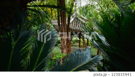Chengdu, Sichuan, China. Garden Area Of Wuhou Memorial Temple. Palm Leaves Close-up View. Elegant Ornamental Gazebo. Green Foliage Bushes. Silence And Peace. Comfortable Environment To Embrace Nature Chengdu, Sichuan, China. Garden Area Of Wuhou Memorial Temple. Palm Leaves Close-up View. Elegant Ornamental Gazebo. Green Foliage Bushes. Silence And Peace. Comfortable Environment To Embrace Nature 123835941