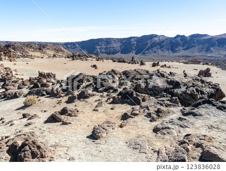 Lava Fields, Pumice Volcano Stones Texture, Volcanic Pumice Pattern, Pieces of Lava, Basalt Extrusive Igneous Rock Lava Fields, Pumice Volcano Stones Texture, Volcanic Pumice Pattern, Pieces of Lava, Basalt Extrusive Igneous Rock 123836028