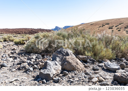 Lava Fields, Pumice Volcano Stones Texture, Volcanic Pumice Pattern, Pieces of Lava, Basalt Extrusive Igneous Rock 123836035