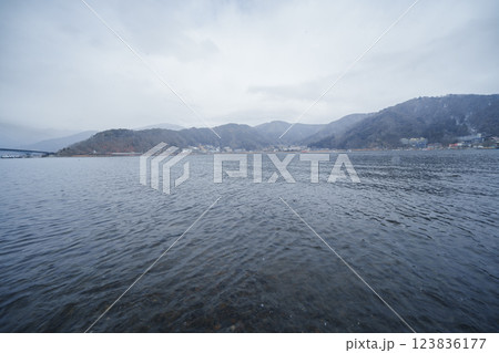 河口湖にいる美しい白鳥 123836177